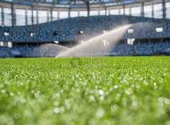 久违重逢,王大治携女,共进餐,PP电子厅下载,PP电子厅娱乐,PP电子厅官网,PP电子厅app