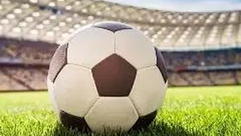 PP电子 产品 234239 xih