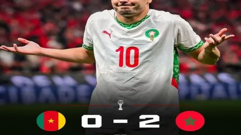 法國國家隊未曾踏足的世錦賽全記錄